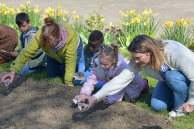 Plantation de lin pour les 40 ans du musée 🌱 — Musée de la Rubanerie